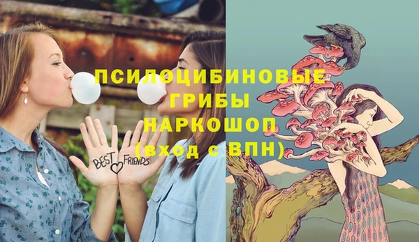 молекула духа Бугульма