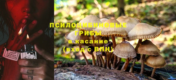 соль ск Бронницы